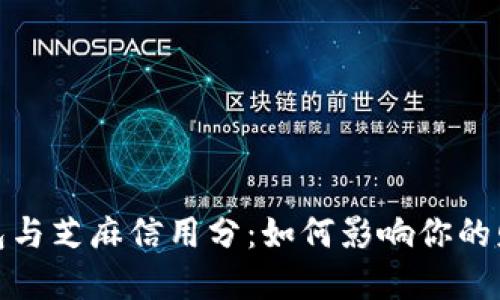 数字钱包与芝麻信用分：如何影响你的财务管理