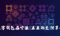 数字钱包在宁波：未来的支付革命