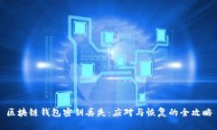 区块链钱包密钥丢失：应对与恢复的全攻略
