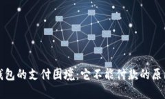 数字钱包的支付困境：它不能付款的原因解析