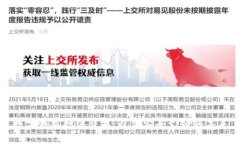 数字钱包担保交易：引领安全支付的未来