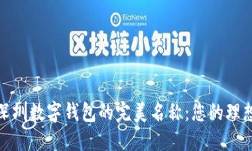 探索深圳数字钱包的完美名称：您的理想选择