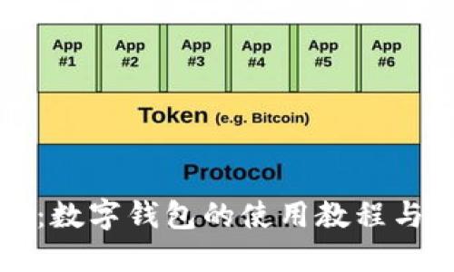 全面解密：数字钱包的使用教程与最佳实践