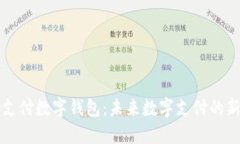 熊猫支付数字钱包：未来数字支付的新选择