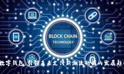  数字钱包：引领未来支付新潮流的国内发展趋势