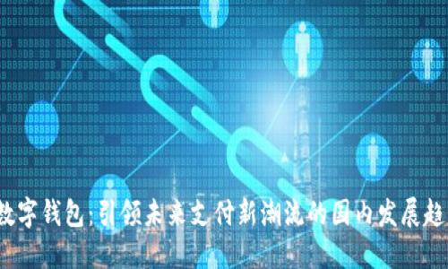 数字钱包：引领未来支付新潮流的国内发展趋势