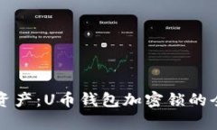 保护你的资产：U币钱包加密锁的全方位解析
