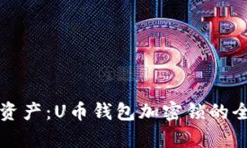保护你的资产：U币钱包加密锁的全方位解析