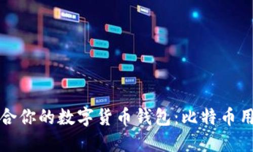 如何选择适合你的数字货币钱包：比特币用户必读指南
