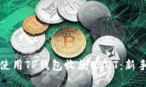 如何高效使用TP钱包收款USDT：新手必看指南