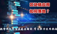 数字钱包充值渠道全解析：常见软件使用指南