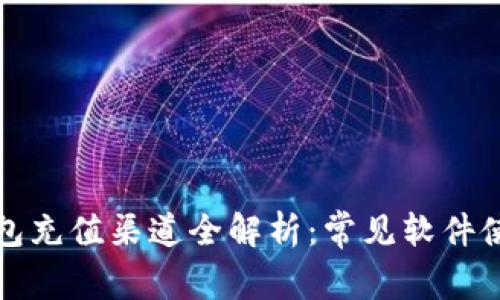 数字钱包充值渠道全解析：常见软件使用指南