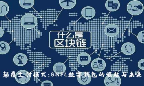 颠覆支付模式：BNPL数字钱包的崛起与未来