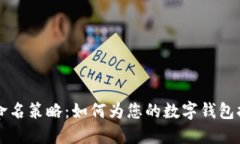 智能时代的数字钱包命名策略：如何为您的数字