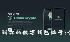  轻松找到你的数字钱包编号：全面指南
