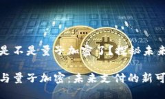 数字人民币钱包是不是量子加密了？探秘未来支