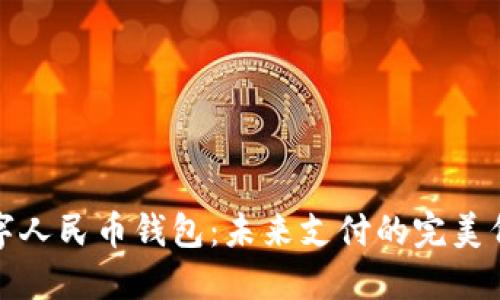 数字人民币钱包：未来支付的完美伴侣