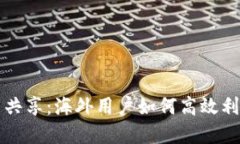 TP钱包流量共享：海外用户如何高效利用数字资产