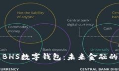 全方位了解BHS数字钱包：未来金融的革命性工具
