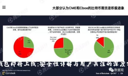 TP钱包即将上线：安全性详解与用户关注的深度分析