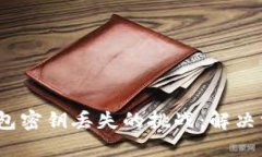  如何应对TP钱包密钥丢失的挑战：解决方案和预