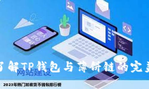 全面了解TP钱包与薄饼链的完美结合