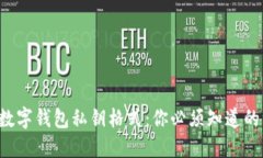 揭秘数字钱包私钥格式：你必须知道的一切！