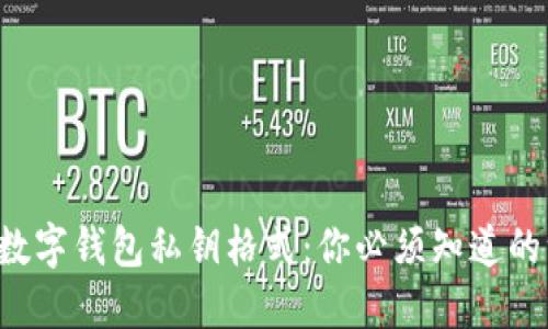 揭秘数字钱包私钥格式：你必须知道的一切！