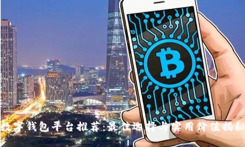 数字钱包平台推荐：最佳选择与实用价值揭秘
