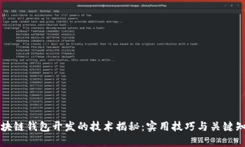 区块链钱包开发的技术揭秘：实用技巧与关键知识