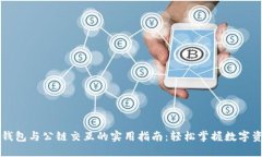 区块链钱包与公链交互的实用指南：轻松掌握数