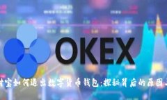   支付宝如何退出数字货币钱包：探秘背后的原因