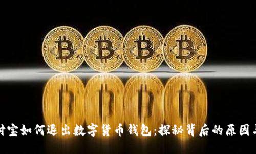   支付宝如何退出数字货币钱包：探秘背后的原因与影响