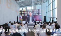如何高效使用TP钱包与BitMEX，获取更高收益